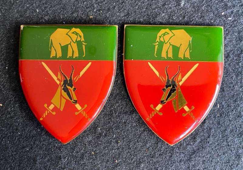 EASTERN PROVINCE COMMAND-GOLD TYPE,FLASH PAIR- NO PINS
