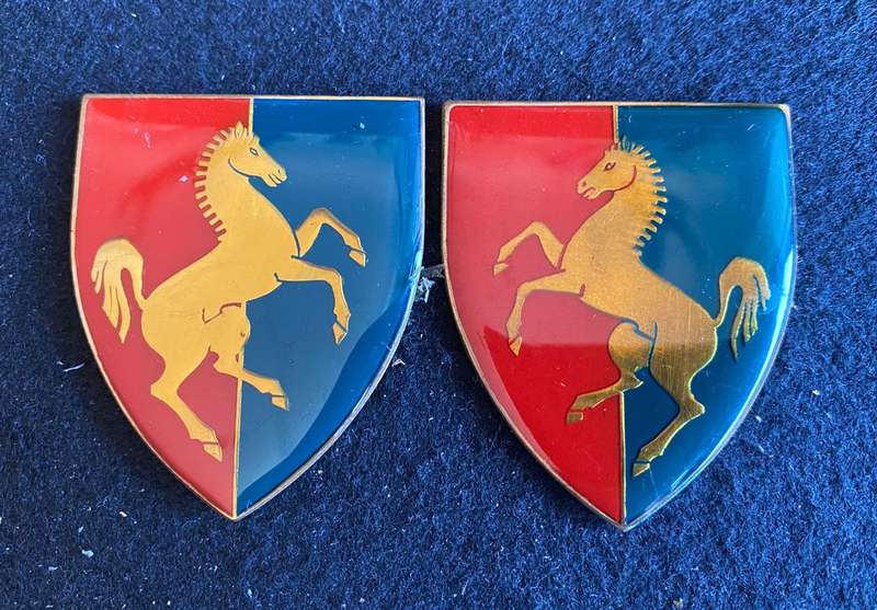 SAS TEC. SERVICE TRAINING CENTRE-GOLD TYPE FLASH PAIR- 3RD ISSUE - 2 PINS