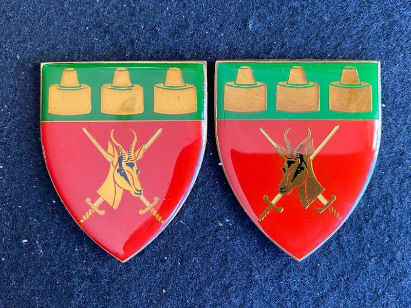 WITWATERSRAND COMMAND-GOLD TYPE FLASH PAIR- NO PINS