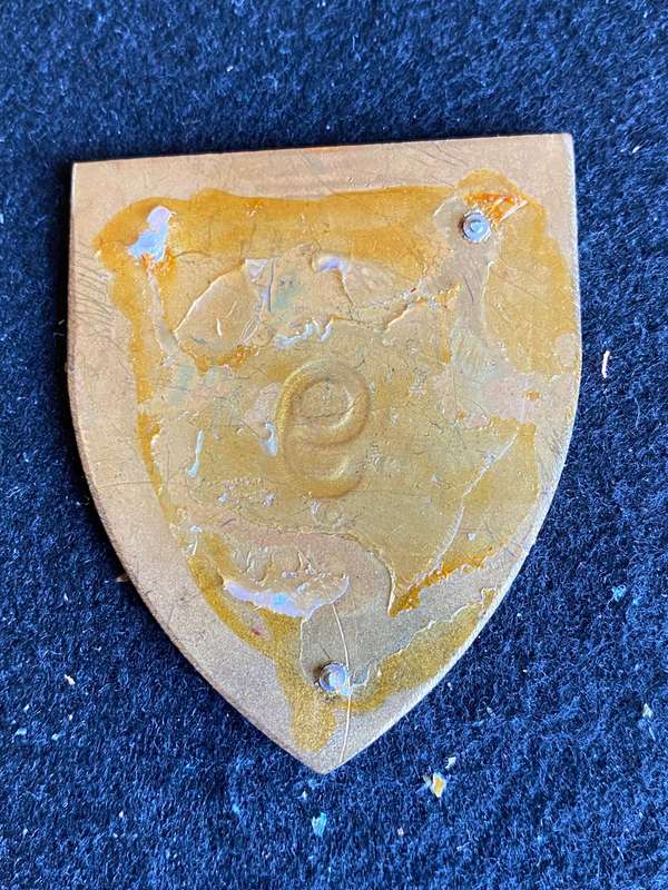 9 ENGINEER SQUADRON FLASH- NO PINS