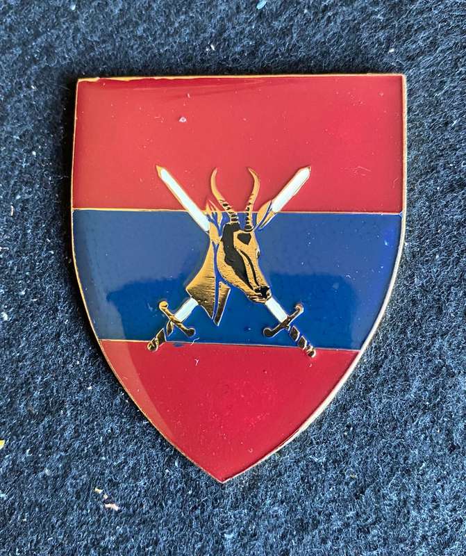 SA DIRECTOR GENERAL (ENGINEERS) RED TYPE-1ST ISSUE FLASH- NO PINS-OWEN NO F 247