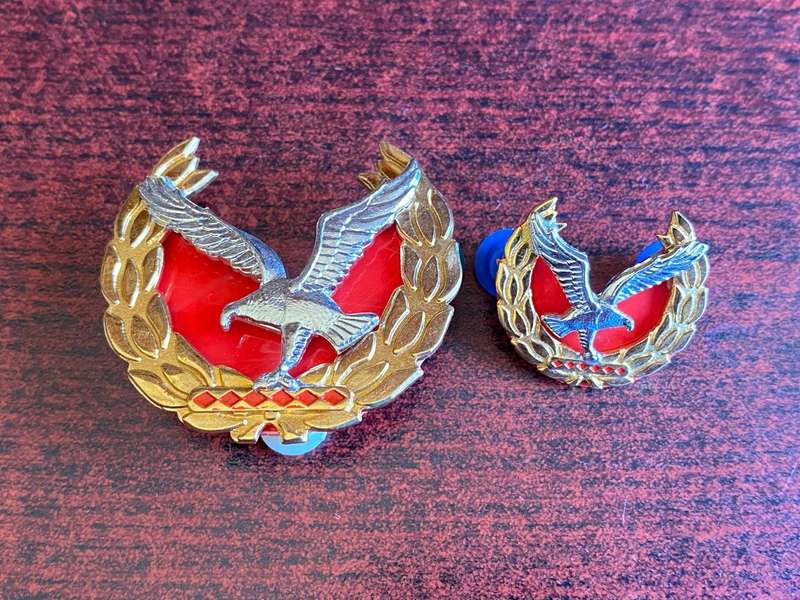 NAMIBIAN POLICE FORCE WARRANT OFFICER CLASS 1 RANKS-PINS INTACT