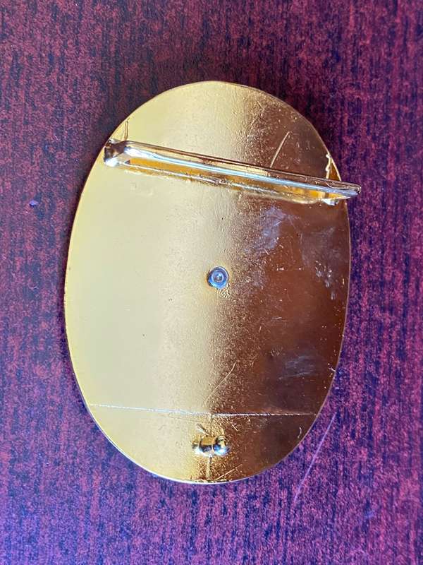 NAMIBIA POLICE BELT BUCKLE