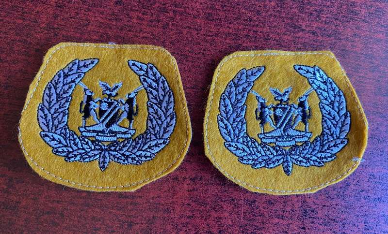 NAMIBIA DEFENCE FORCE WO 1 RANK BADGES