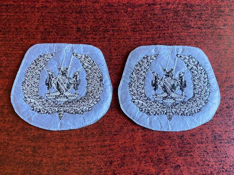 NAMIBIA DEFENCE FORCE WO 1 RANK BADGES