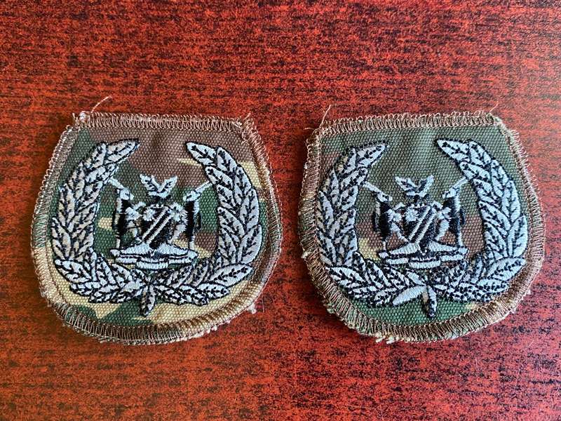 NAMIBIA DEFENCE FORCE WO 1 RANK BADGES