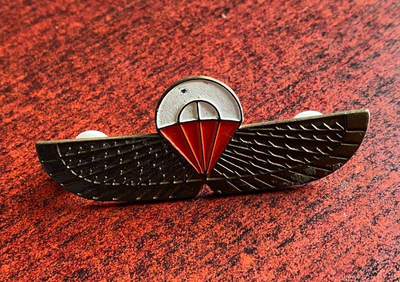 CISKEI SPECIAL FORCES FREE FALL QUALIFICATION WING- 2 PINS