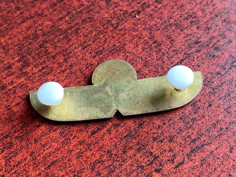 CISKEI SPECIAL FORCES FREE FALL QUALIFICATION WING- 2 PINS