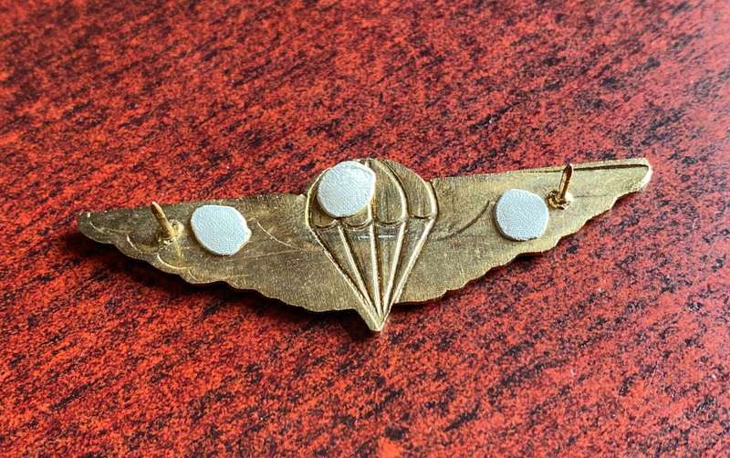 CISKEI DEFENCE FORCE PARACHUTE WING- (GOLD WINGS TYPE) 2 PINS