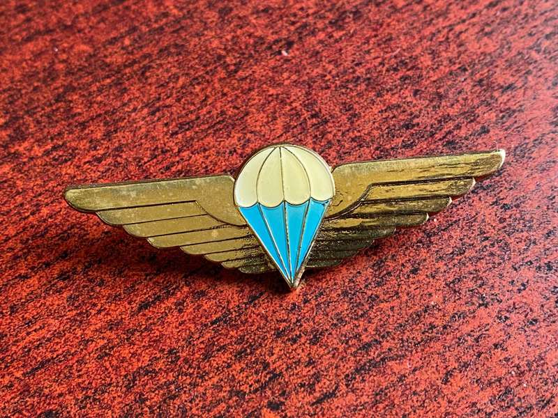 CISKEI DEFENCE FORCE PARACHUTE WING- (GOLD WINGS TYPE) 2 PINS