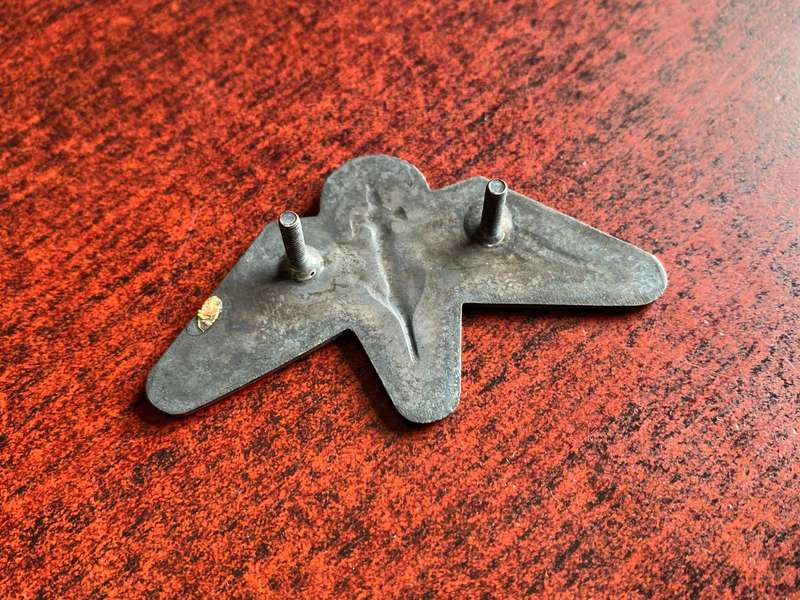 BOPHUTHATSWANA DEFENCE FORCE TASK FORCE (SPECIAL) FORCES,LUCITE COVERED CAP BADGE- 2 LUGS