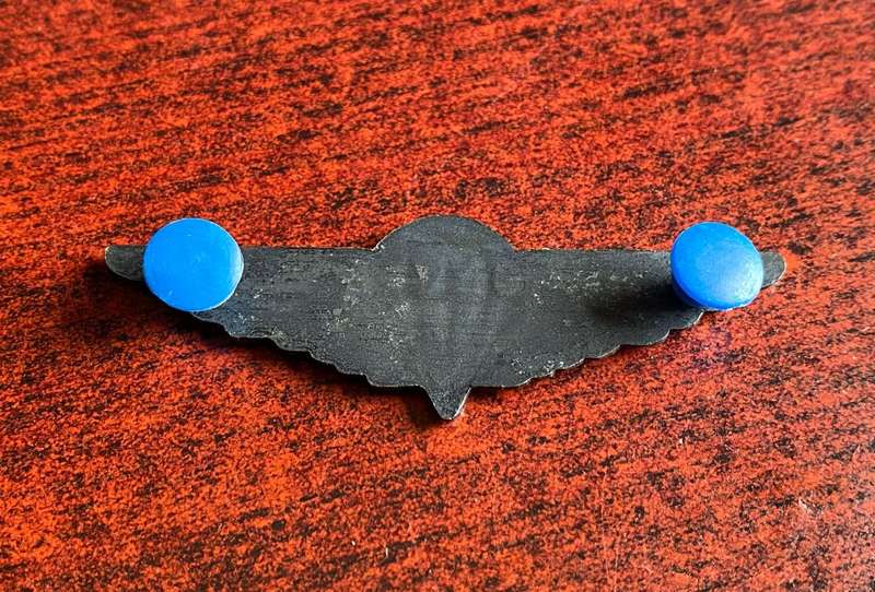 CISKEI DEFENCE FORCE FREE FALL (BLACK WING) PARACHUTE WING