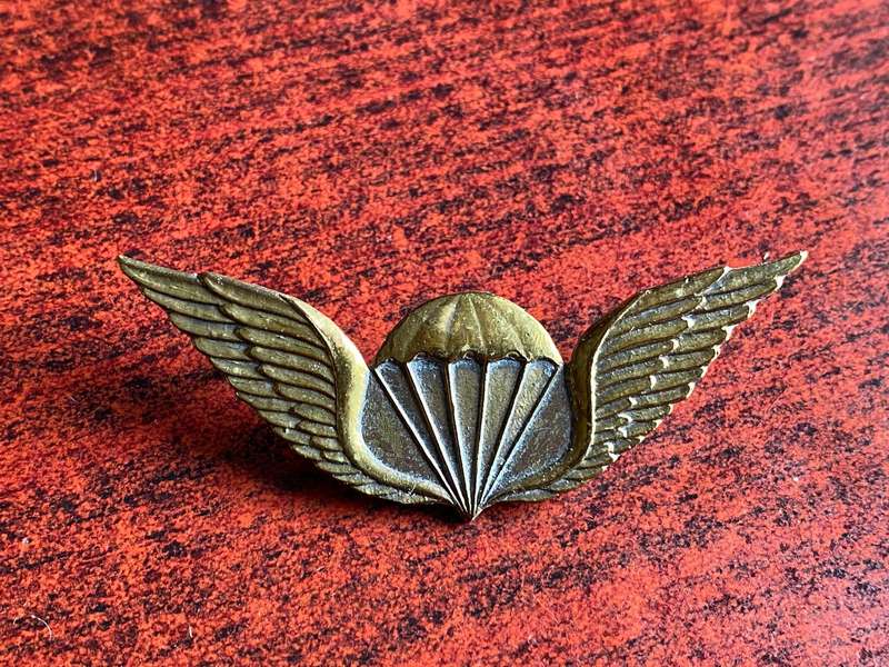 TRANSKEI PARACHUTE WINGS-GILT-OFFICERS- 2 LUGS