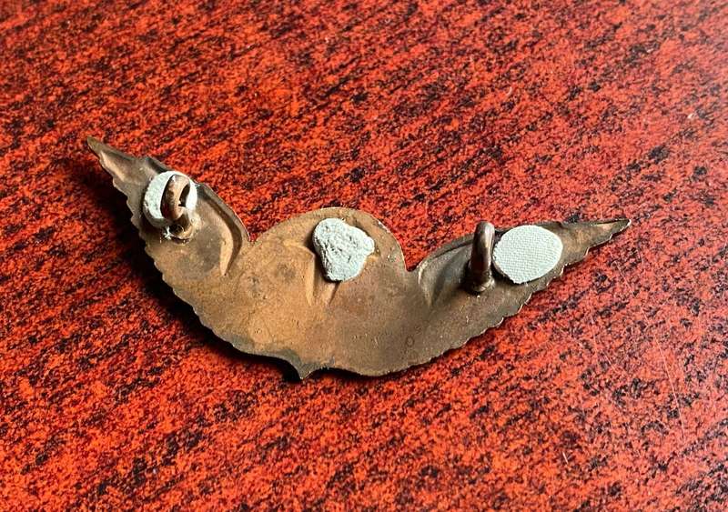 TRANSKEI PARACHUTE WINGS- OTHER RANKS- 2 LUGS