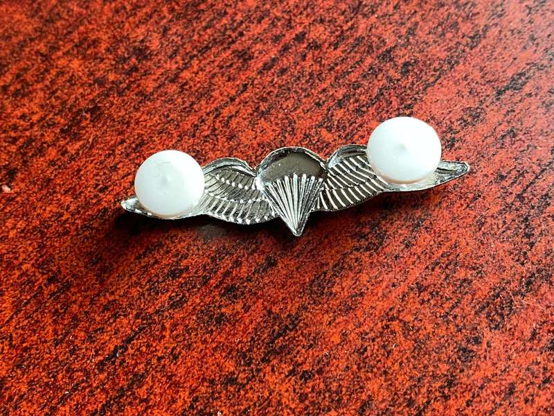 MESS DRESS FREE FALL PARACHUTE WING