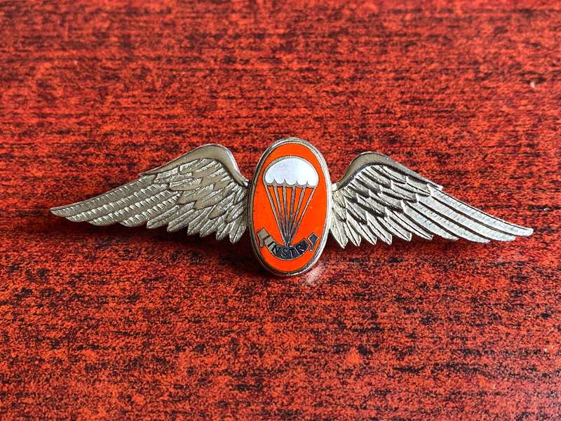 SADF PARA WING FREE FALL INSTRUCTOR-FULL SIZE - 2 PINS