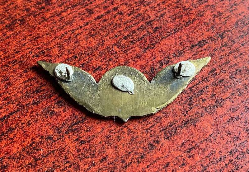 TRANSKEI PARACHUTE WINGS-GILT-OFFICERS- 2 LUGS
