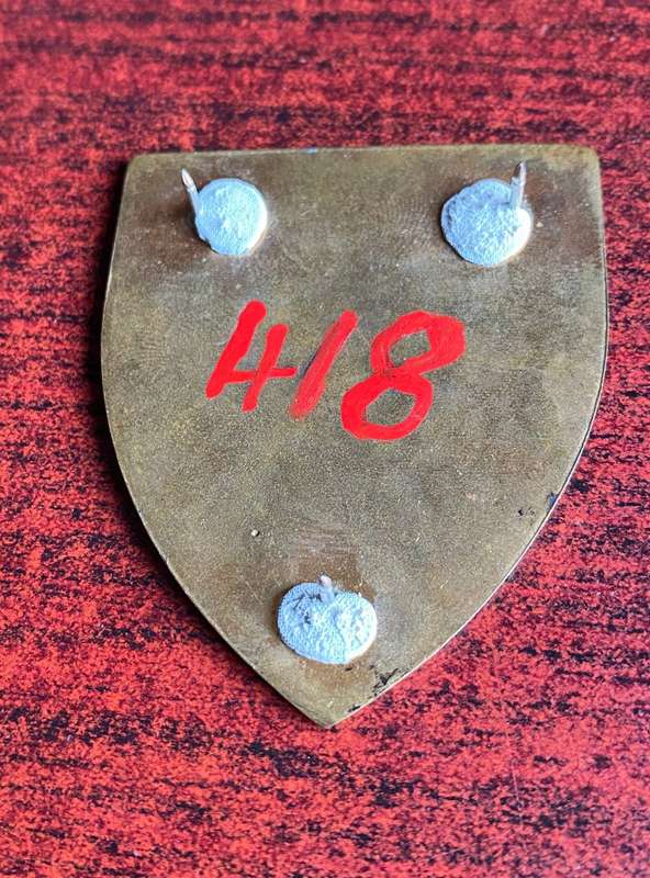44 PARA BDE ENGINEERS SQUADRON FLASH- 3 PINS
