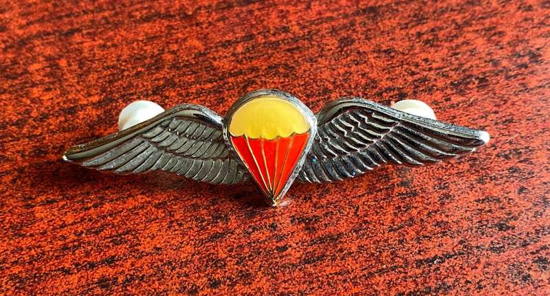 SA PARACHUTE FREE FALL WING -FULL SIZE- 2 PINS