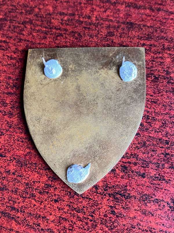SADF 44 PARA BDE-LIGHT REGT. FLASH- 3 PINS
