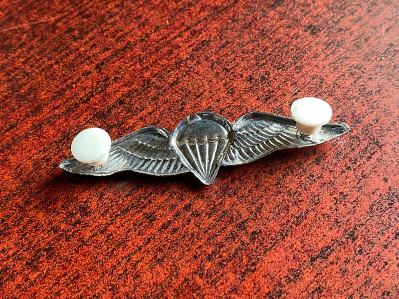 ADVANCED PARA WING- 50 JUMPS AND MORE-LUCITE COATED-FULL SIZE - 2 PINS