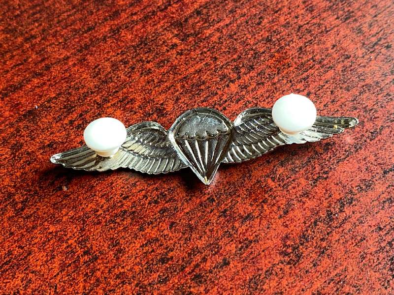 ADVANCED PARA WING 50 JUMPS AND MORE, NO LUCITE COATING-FULL SIZE- 2 PINS