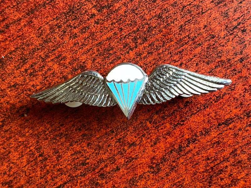 ADVANCED PARA WING 50 JUMPS AND MORE, NO LUCITE COATING-FULL SIZE- 2 PINS