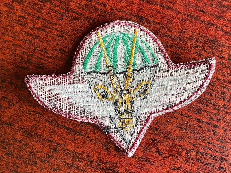 SWA PARACHUTE BERET BADGE