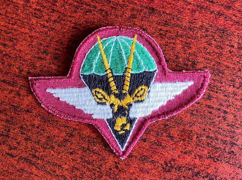 SWA PARACHUTE BERET BADGE