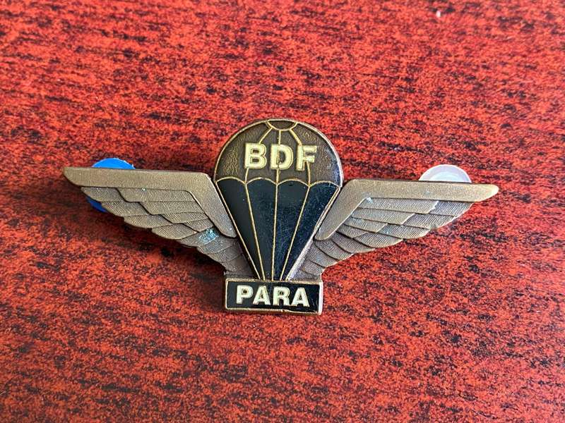 BOTSWANA PARACHUTE WING- 2 PINS