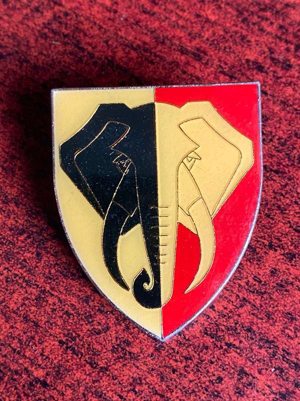 SWA 701 BATTALION -BERET BADGE - 2 LUGS