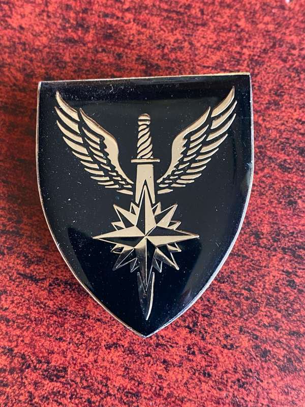 SWA 1 RECCE REGT. POCKET FLASH- 3 PINS