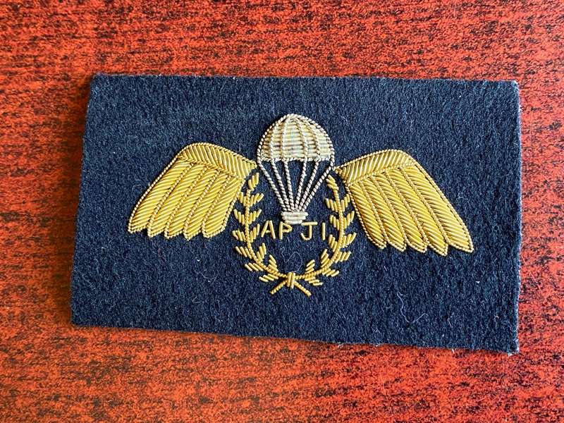 BRITISH ASSISTANT PARA JUMP INSTRUCTOR WING