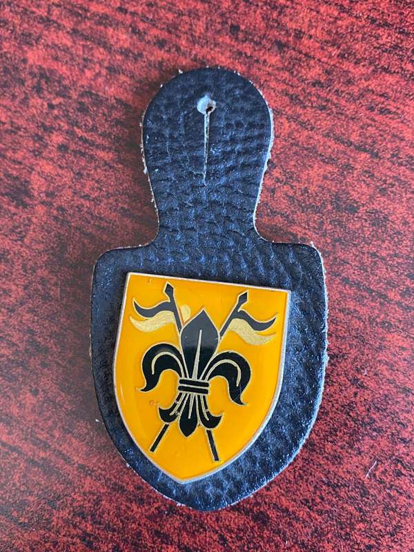 GERMAN BUNDESWEHR TANK RECCE BN. NO 2 FOB BADGE