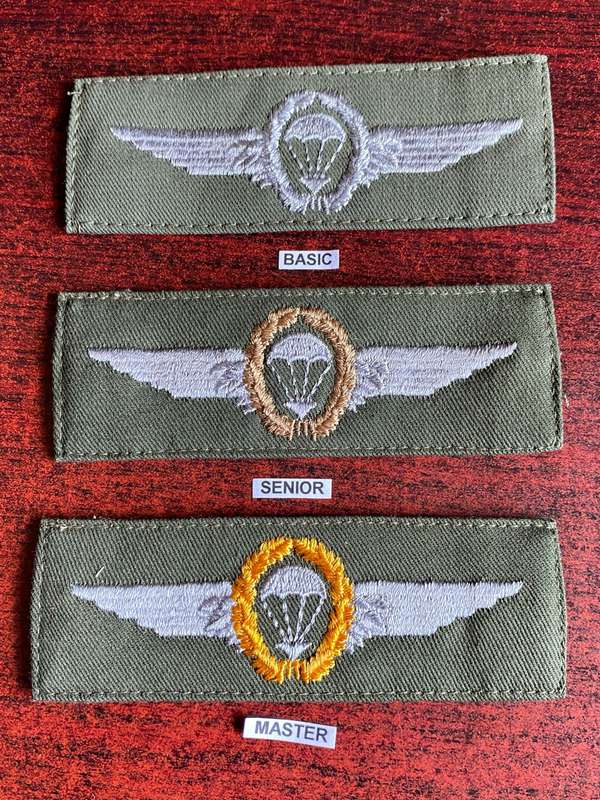 GERMAN BUNDESWEHR PARACHUTE WINGS-BASIC.SENIOR AND MASTER
