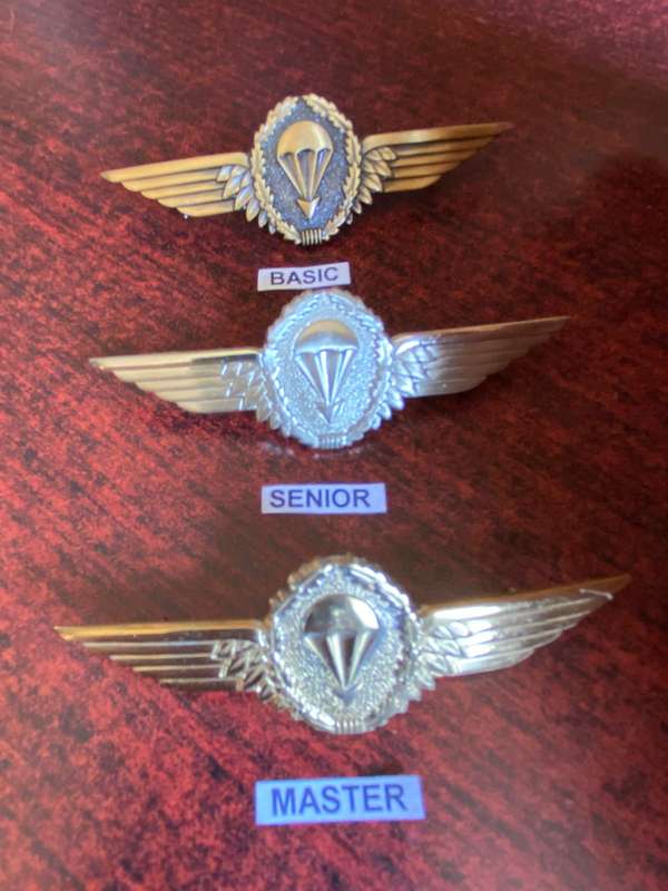 GERMAN BUNDESWEHR PARACHUTE WINGS-BASIC/SENIOR AND MASTER- PINS INTACT