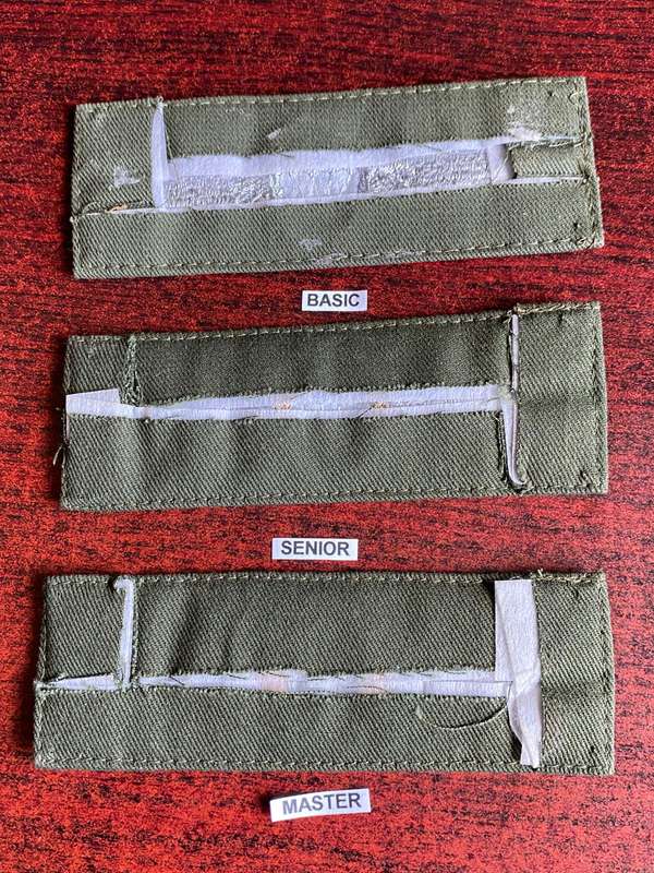 GERMAN BUNDESWEHR PARACHUTE WINGS-BASIC.SENIOR AND MASTER