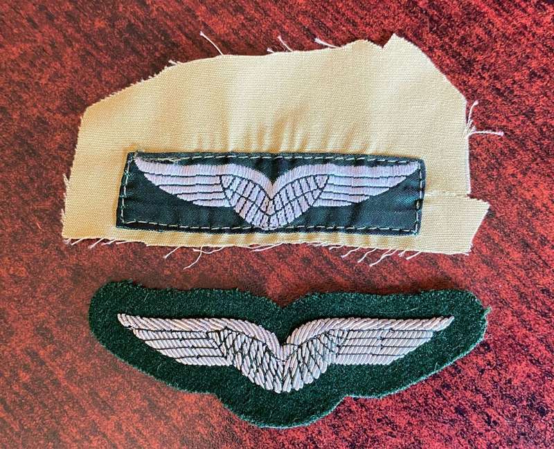 GERMAN BUNDES GRENZSCHUTZ-AIRBORNE WINGS