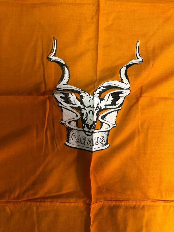 SWAFT AREA FORCE FLAG-SCARCE FIRST EDITION BEFORE OFFICIAL COLOURS-COTTON TWO SIDED-MEASURES 1140X18