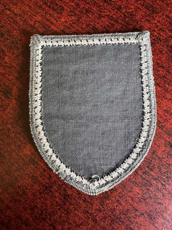 GERMAN 14TH PANZERGRENADIER DIVISION PATCH- CIRCA-1990-2008
