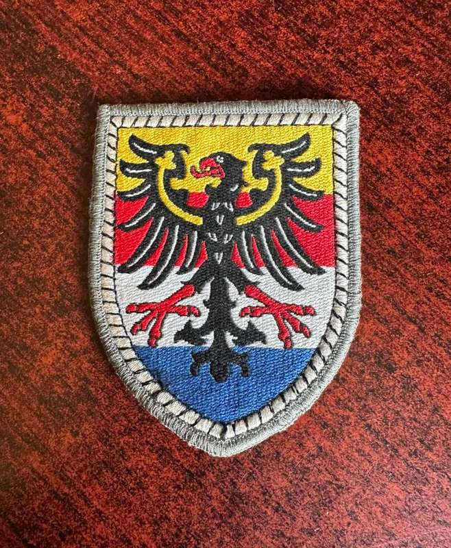 GERMAN 14TH PANZERGRENADIER DIVISION PATCH- CIRCA-1990-2008