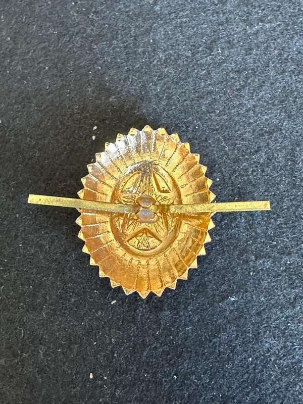 SOVIET RUSSIA, AIR FORCE AND ARMY-OFFICERS CAP BADGE