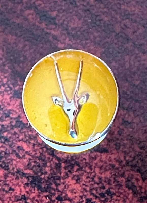 SWA LAPEL BADGES