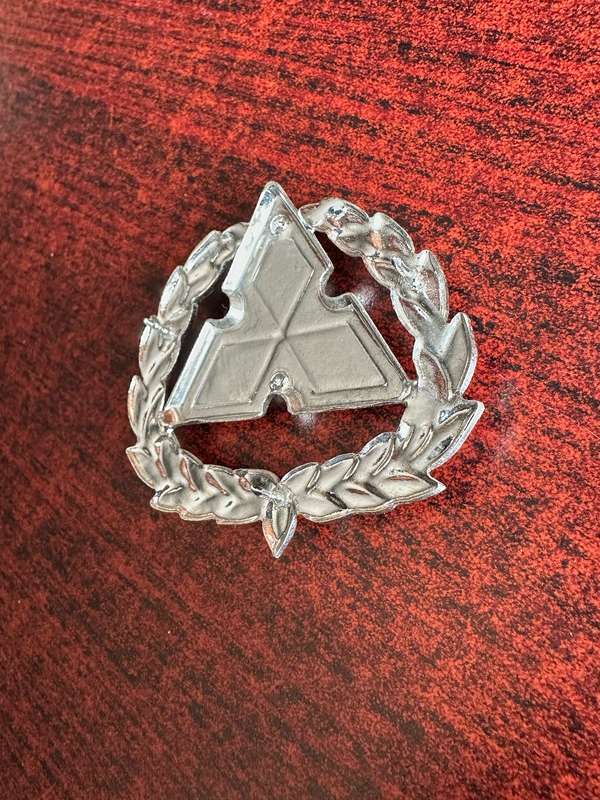 S.W.A.T.F. WARRANT OFFICER CLASS 1,CHROME AND ENAMEL RANK BADGES
