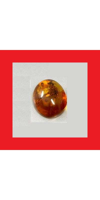 Amber [Baltic Sea] - Oval Shape Cabochon - 0.93cts