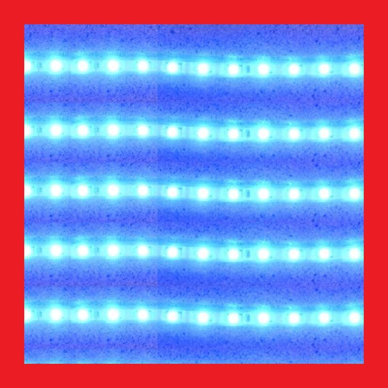 LED 5050 Strip Light Blue - 5 Metres