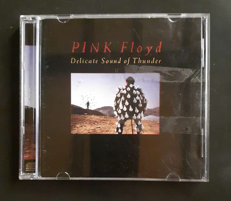 Pink Floyd - Delicate Sound Of Thunder (2 CD Set)