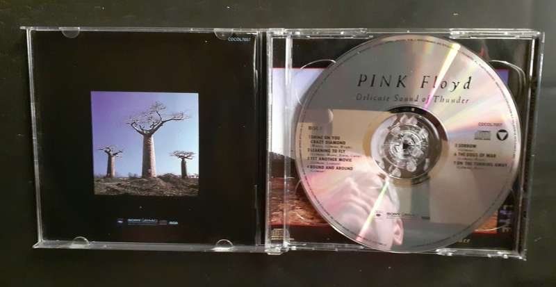 Pink Floyd - Delicate Sound Of Thunder (2 CD Set)