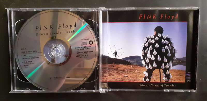 Pink Floyd - Delicate Sound Of Thunder (2 CD Set)