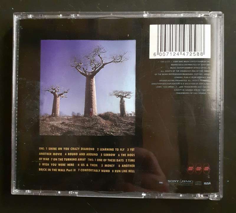 Pink Floyd - Delicate Sound Of Thunder (2 CD Set)